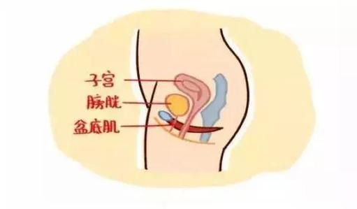 【产后恢复】产后子宫恢复好不好,两项指标说了算!