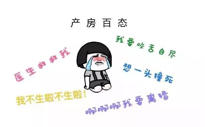 图片14.png