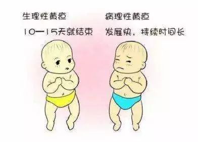 1564457175828280.png 图片.png