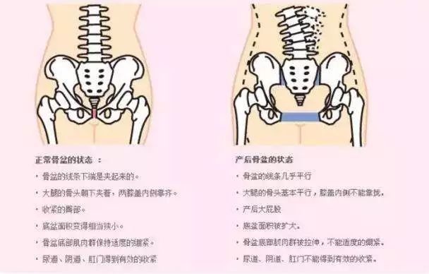 月子餐一.jpg