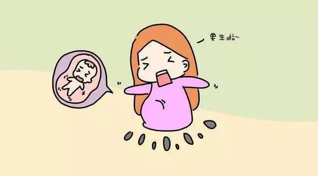 月子餐一.jpg