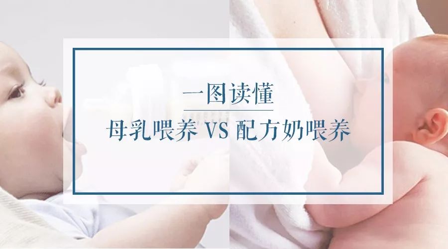 月子餐一.jpg