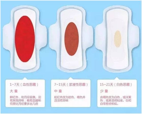 月子餐一.jpg