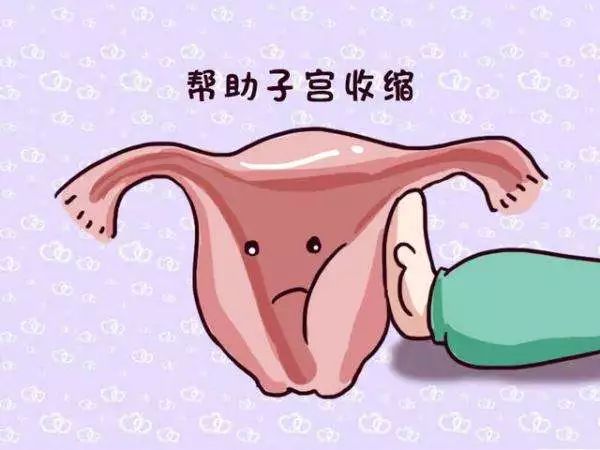 月子餐一.jpg