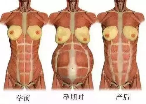 月子餐一.jpg