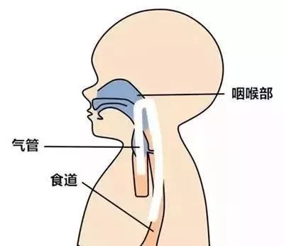 1667868750937994.jpg 月子餐一.jpg