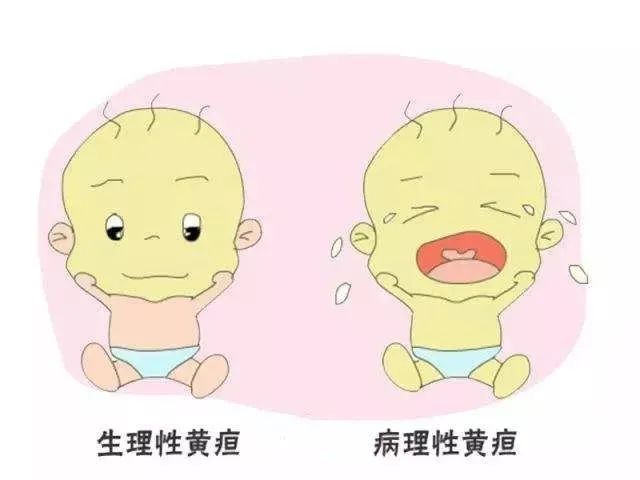 1668388138732363.jpg 月子餐一.jpg